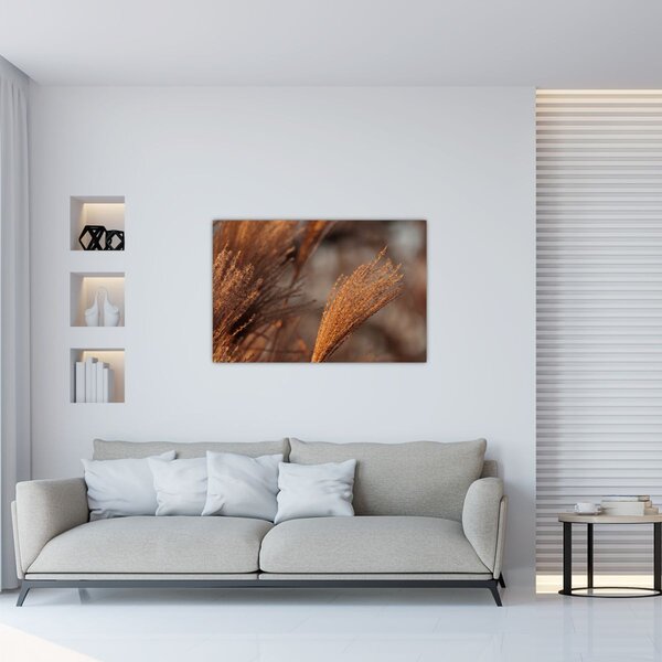 Tablou - Cortaderie (90x60 cm)
