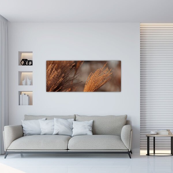 Tablou - Cortaderie (120x50 cm)