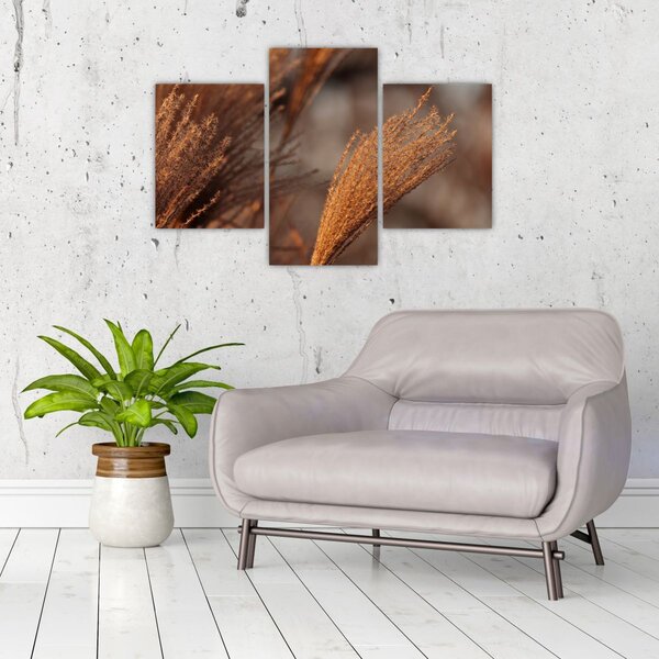 Tablou - Cortaderie (90x60 cm)