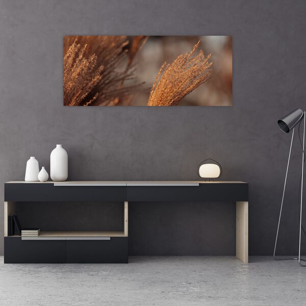 Tablou - Cortaderie (120x50 cm)