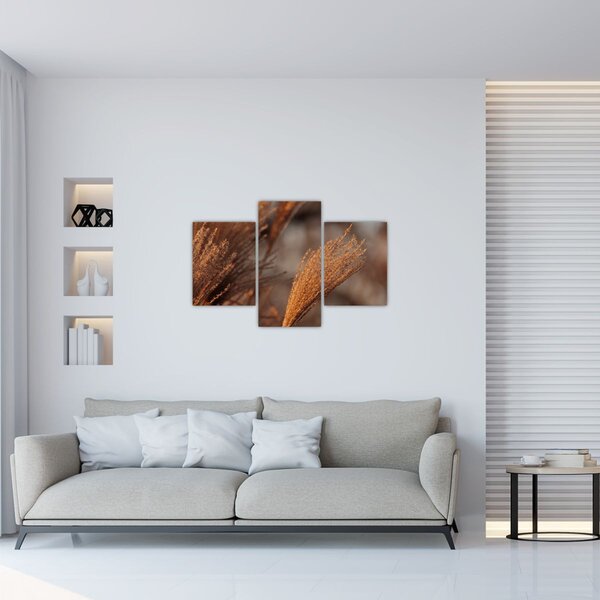 Tablou - Cortaderie (90x60 cm)