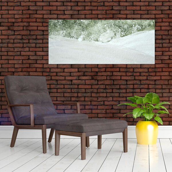 Abstract din pensule (120x50 cm)