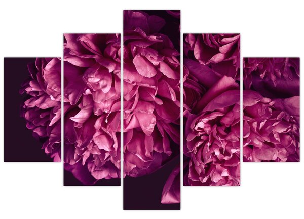 Tablou - Floarea bujorului (150x105 cm)