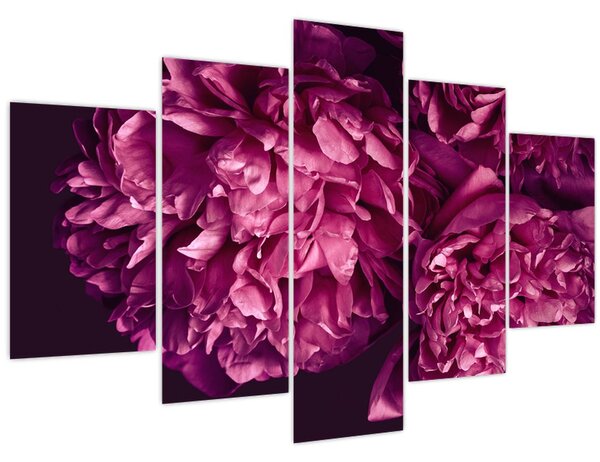 Tablou - Floarea bujorului (150x105 cm)