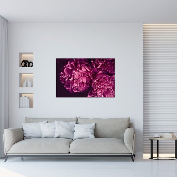Tablou - Floarea bujorului (90x60 cm)