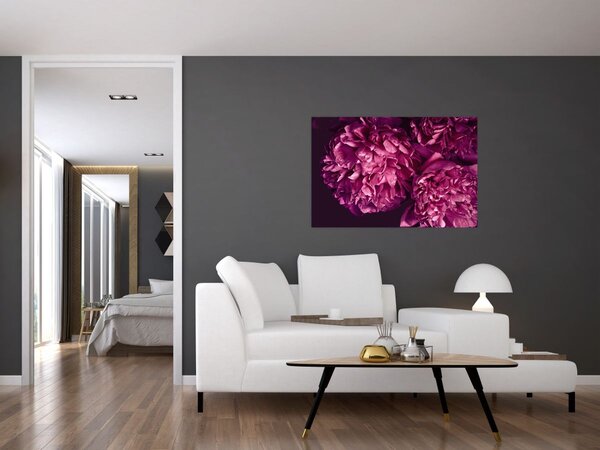 Tablou - Floarea bujorului (90x60 cm)