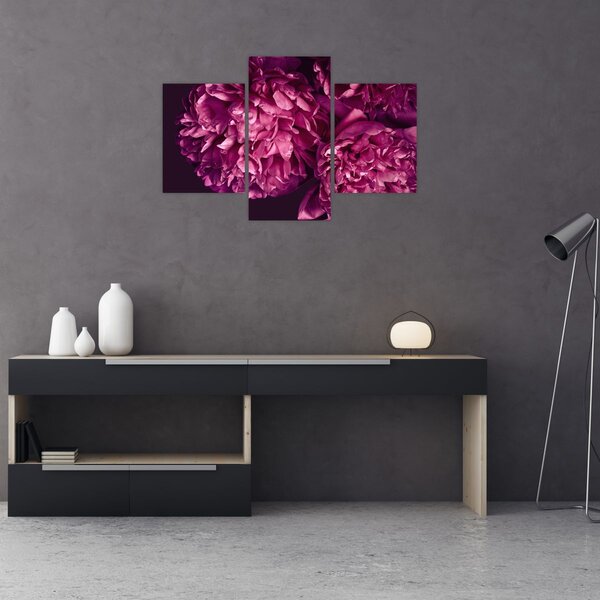 Tablou - Floarea bujorului (90x60 cm)