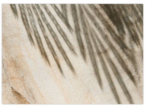 Tablou - Umbre (70x50 cm)