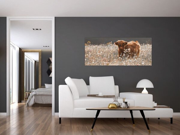 Tablou - Vacă scoțiană (120x50 cm)