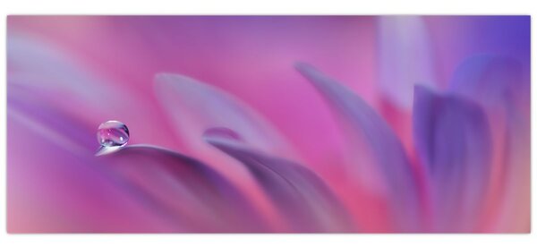 Tablou - Picătură pe floare (120x50 cm)