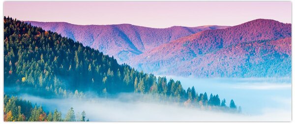 Tablou - Panoramă 2 (120x50 cm)