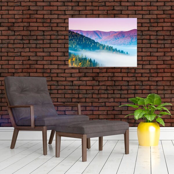 Tablou - Panoramă 2 (70x50 cm)