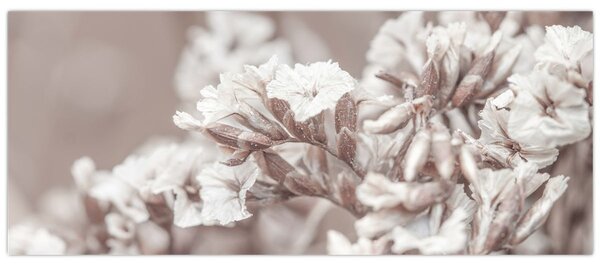 Tablou - Detaliu crenguță (120x50 cm)