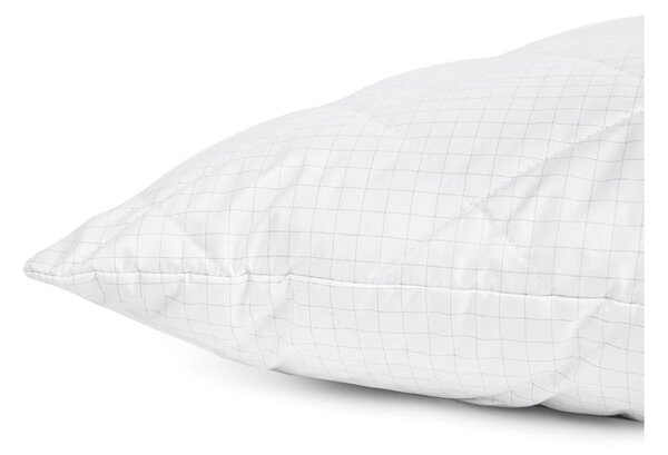 Pernă 50x70 cm Carbon – Bonami Essentials