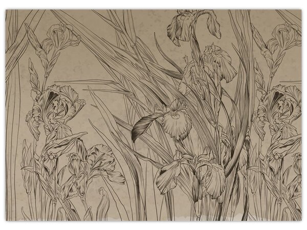 Tablou - Contururile plantelor (70x50 cm)