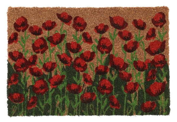 Covoraș de intrare din fibre de nucă de cocos 40x60 cm - Esschert Design