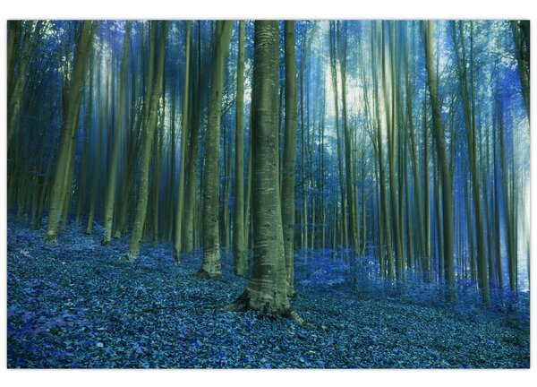 Tablou - Pădure albastră (90x60 cm)
