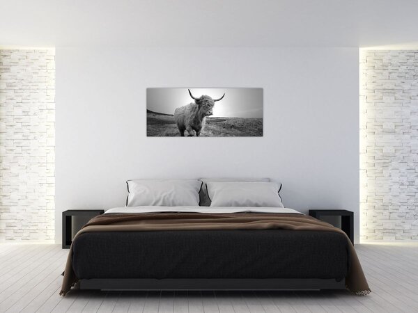 Tablou - Vacă scoțiană,alb-negru (120x50 cm)