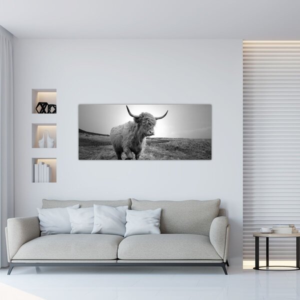 Tablou - Vacă scoțiană,alb-negru (120x50 cm)