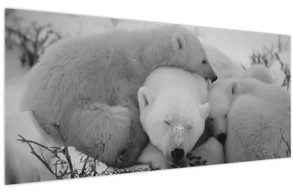 Tablou - Urși polari, alb-negru (120x50 cm)
