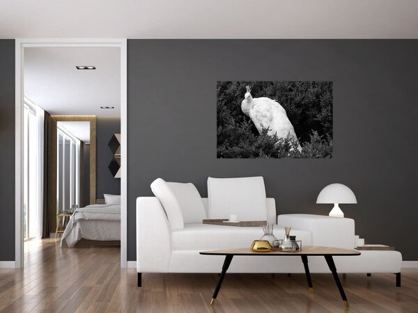 Tablou - Păun,alb-negru (90x60 cm)