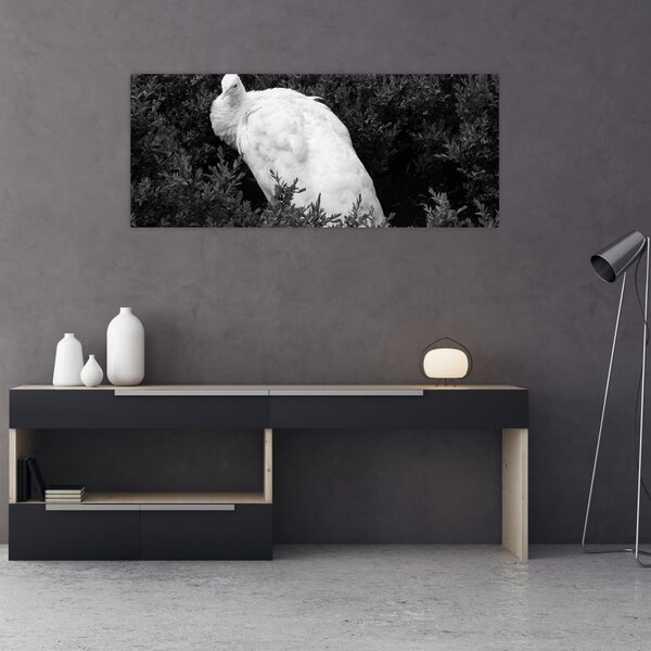 Tablou - Păun,alb-negru (120x50 cm)