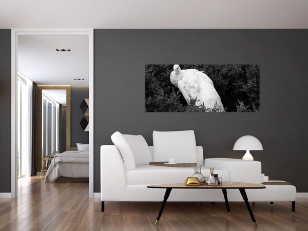 Tablou - Păun,alb-negru (120x50 cm)