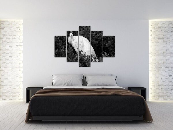 Tablou - Păun,alb-negru (150x105 cm)