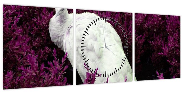 Tablou - Păun alb (cu ceas) (90x30 cm)