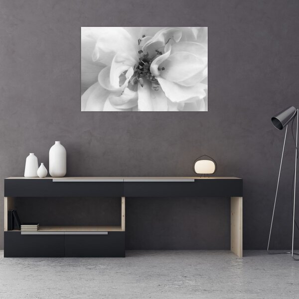 Tablou - Floare,alb-negru (90x60 cm)