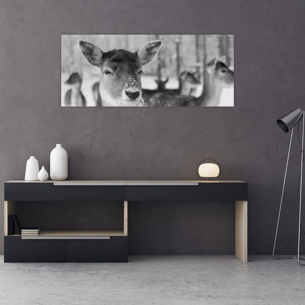 Tablou - Cerbi,alb-negru (120x50 cm)