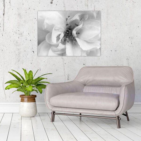 Tablou - Floare,alb-negru (70x50 cm)
