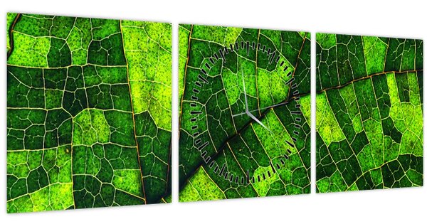 Tablou - Detaliu frunze (cu ceas) (90x30 cm)