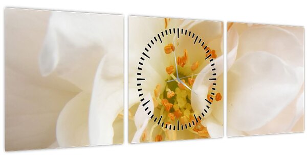 Tablou - Floare (cu ceas) (90x30 cm)