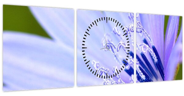 Tablou - Floare (cu ceas) (90x30 cm)