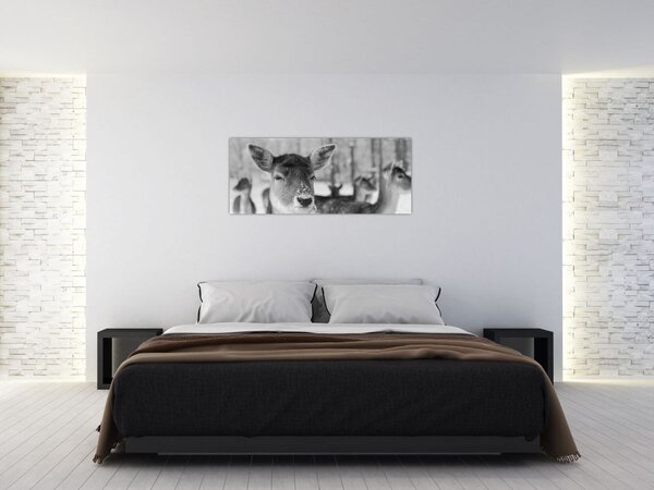 Tablou - Cerbi,alb-negru (120x50 cm)