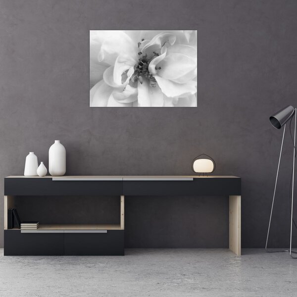 Tablou - Floare,alb-negru (70x50 cm)