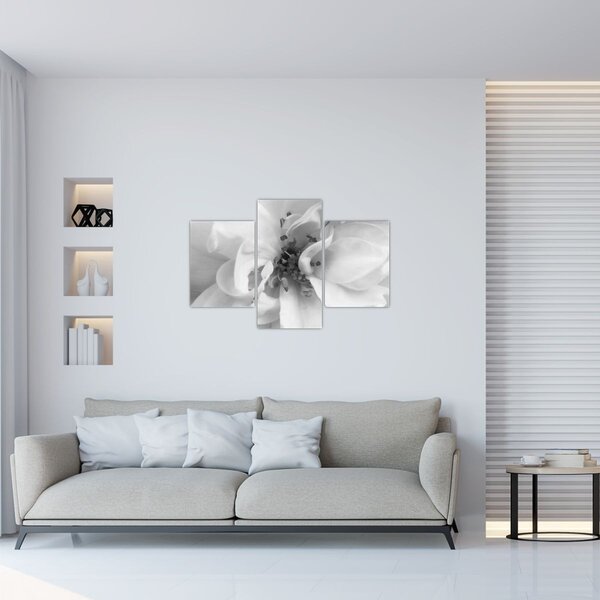 Tablou - Floare,alb-negru (90x60 cm)