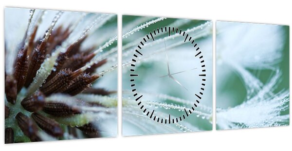Tablou - Detaliu floare (cu ceas) (90x30 cm)
