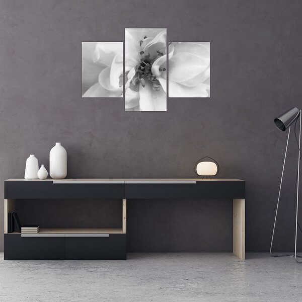 Tablou - Floare,alb-negru (90x60 cm)