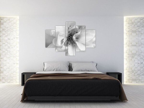Tablou - Floare,alb-negru (150x105 cm)