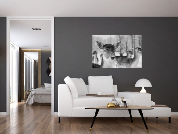 Tablou - Cerbi,alb-negru (90x60 cm)