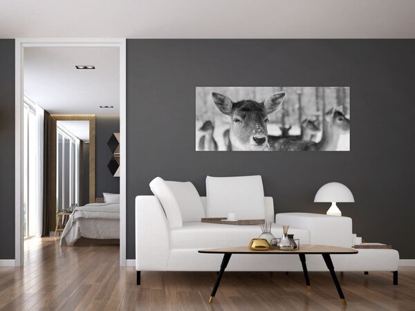 Tablou - Cerbi,alb-negru (120x50 cm)