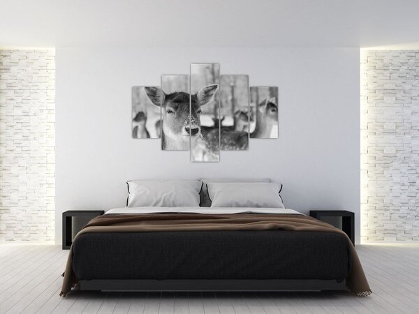 Tablou - Cerbi,alb-negru (150x105 cm)