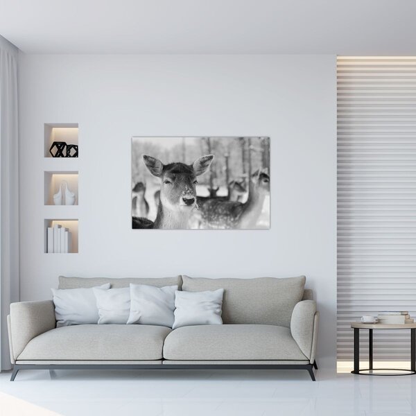 Tablou - Cerbi,alb-negru (90x60 cm)