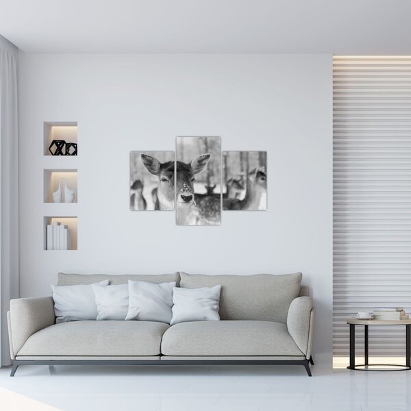 Tablou - Cerbi,alb-negru (90x60 cm)