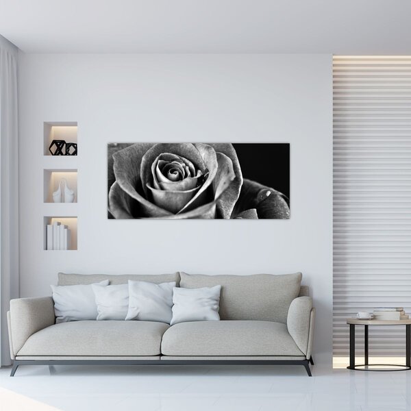 Tablou - Trandafir,alb-negru (120x50 cm)