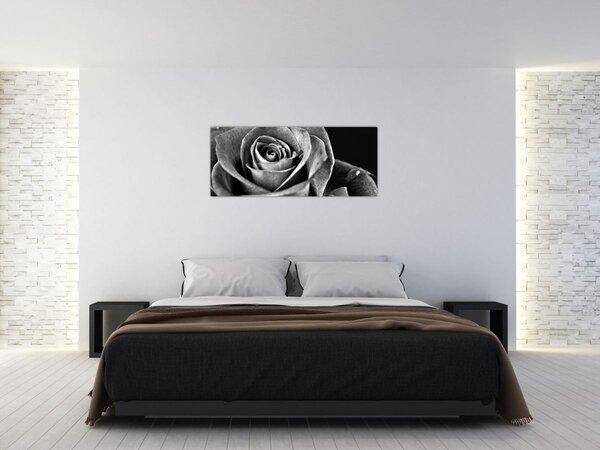 Tablou - Trandafir,alb-negru (120x50 cm)