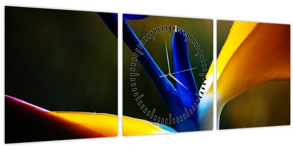 Tablou - Floare exotică (cu ceas) (90x30 cm)