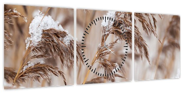 Tablou - Tei (cu ceas) (90x30 cm)